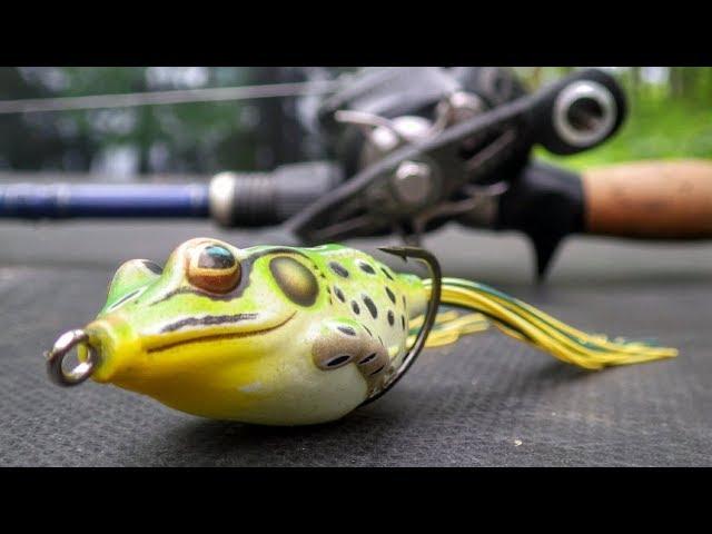 Catch More Bass With The Frog!