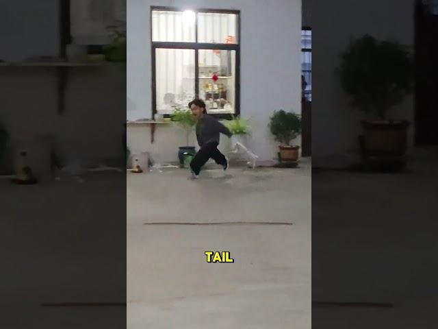 Chased by his own cat!... #shorts #youtubeshorts #kids