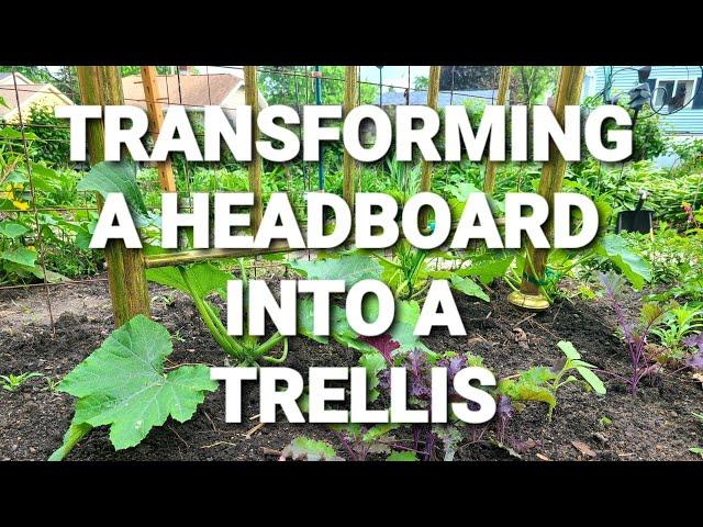 How To Make A Trellis For Your Garden Using Upcycled Materials