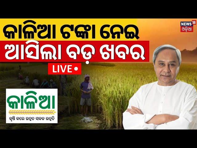 Live: Kalia Yojana 2024 |Odisha Cabinet Took A Big Decision For Kalia Scheme | CM Naveen Patnaik