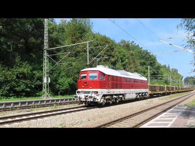 Treni in transito alla stazione di Assling - Züge fahren durch den Bahnhof Aßling