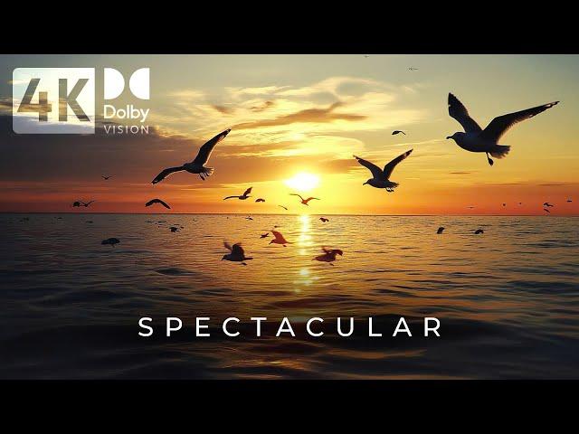 Relax with Spectacular 4K Nature Views | Soothing Background Piano Music (NO ADS)