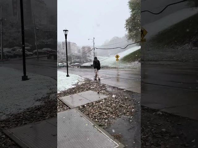 For Mom, love you! WVU Downtown Campus, Morgantown, WV. Snow day, November 2024.