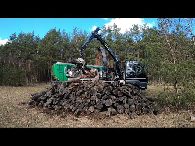 JENZ Hacker Stammholz häckseln mit HEM 593-R Truck / Fichte und Eiche