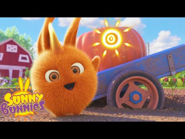 Bright Ideas - Sunny Bunnies | Cartoons For Kids