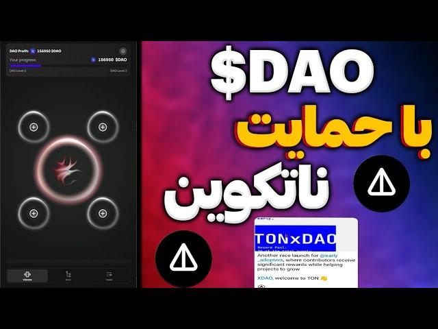 معتبرترین ایردراپ تحت حمایت رسمی نات کوین TonxDao | ایردراپ تحت حمایت تونکوین DAO