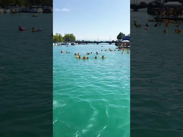 Zurich  Switzerland Limmat river Swim  #zurich #schwimmen