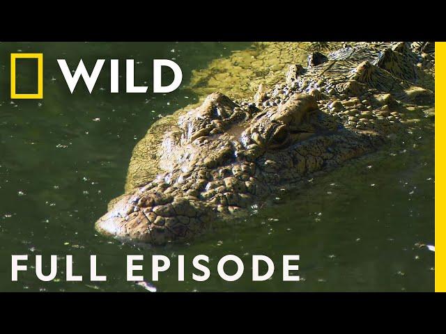 Rivers of Death (Full Episode) | World's Deadliest