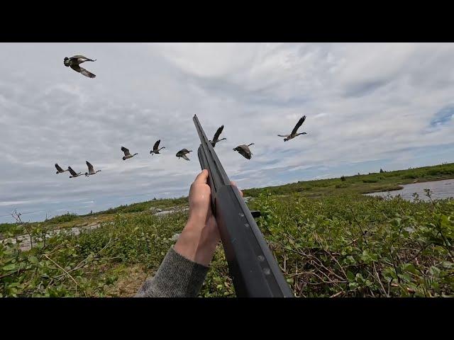 Spring Goose Hunt 2024, In James Bay