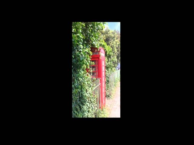 Monty's All Star Jam Jar - Phonebox 2