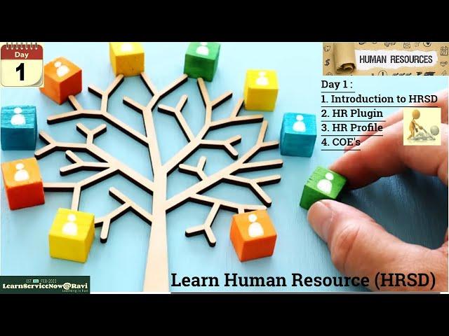 Day 1: ServiceNow HRSD Essentials - Introduction, Plugins, Profiles & COEs | HRSD ServiceNow