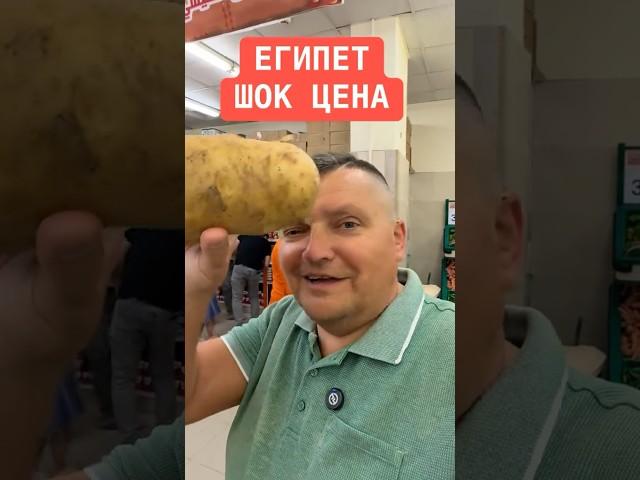 ЕГИПЕТ - ШОК ЦЕНА! Египет 2025. Хургада 2025. #египет_хургада #египет