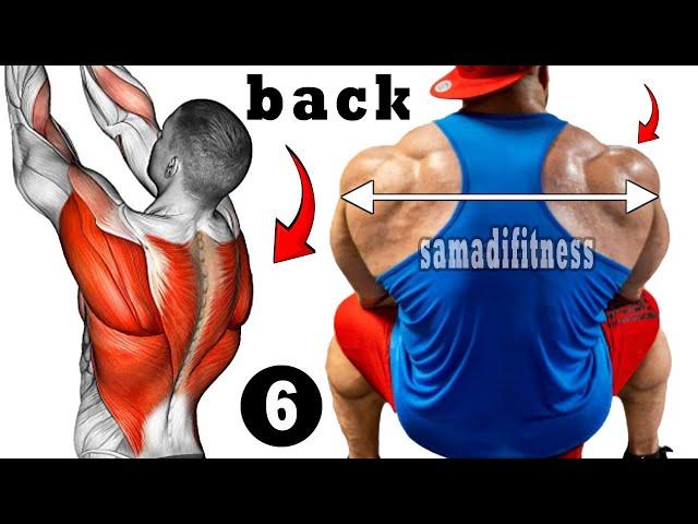 Top 6 Effective Dumbbell Exercises For Big Back Workout