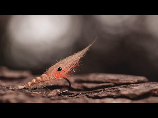 FLY TYING - stf shrimp - TUTORIAL