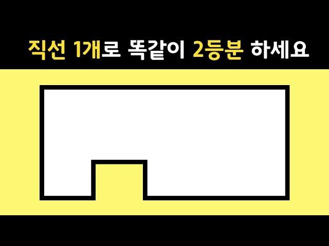 IQ 143 이상은 보자마자 맞히는 아이큐 테스트 문제