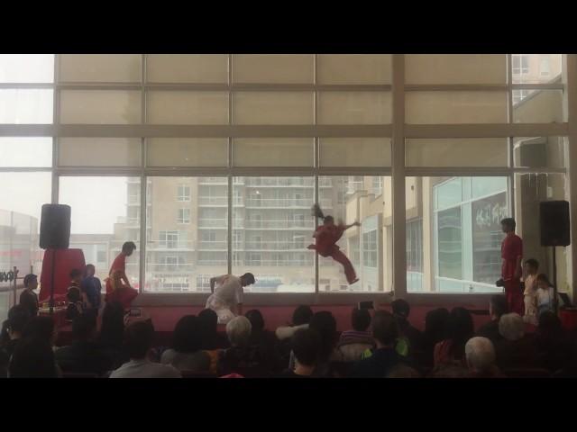 2020 Lunar New Year Wushu Performance (Langham Plaza, Markham)