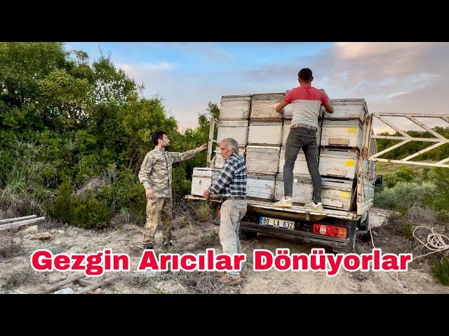 Arıcılık Yapan Merdan Usta Kış Hazırlıkları İçin Arıları Getiriyor !