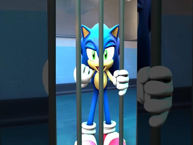 THE DOOR IS UNLOCKED - SONIC