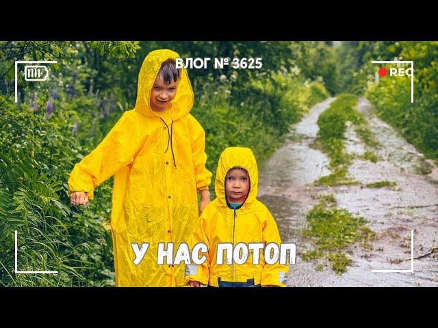 У нас потоп | Копаем канавы | Готовлю в походных условиях -  ВЛОГ №3625 - 09.06.25