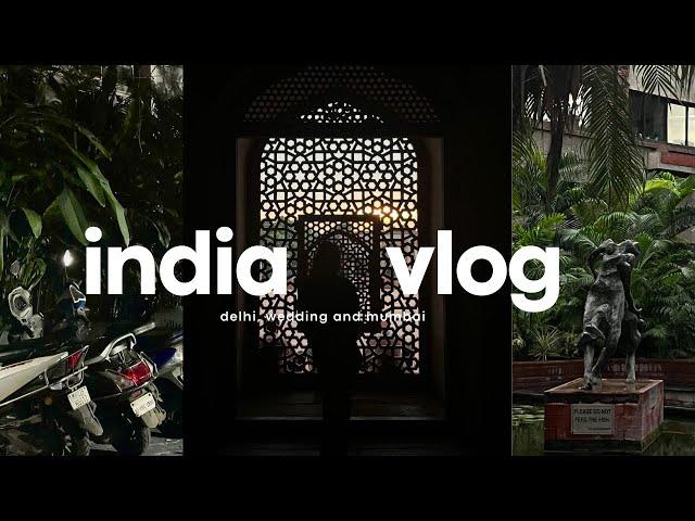 india vlog: delhi, wedding and mumbai