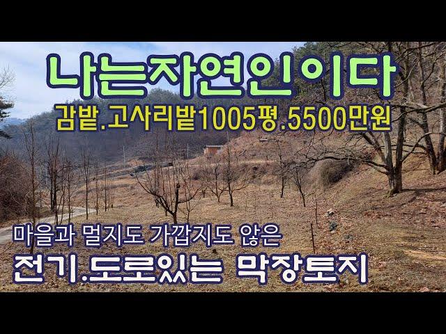 (1020)자연인하기 좋은 위치. 산으로 둘러 쌓인 조용한 남향 농지.둥시감나무 수십주와 고사리밭.면적1005평 매매가 5500만원/경북 상주시 모서면 대포리