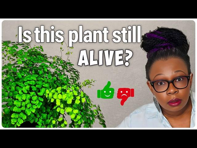 Plant Updates: See What's Thriving and What's Not - Lessons Learned