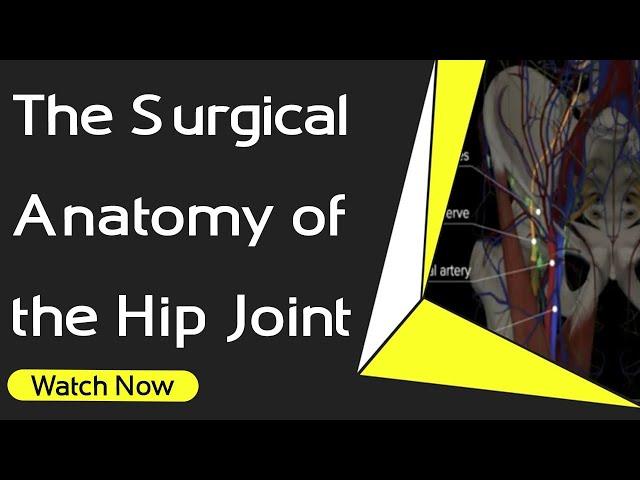 The Surgical Anatomy of the Hip Joint | Orthopaedic Academy