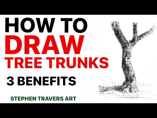 Grow Your Drawing Skills With Tree Trunks