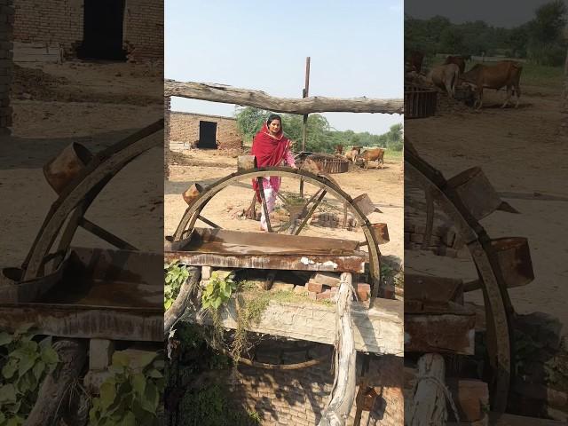 Unseen village life