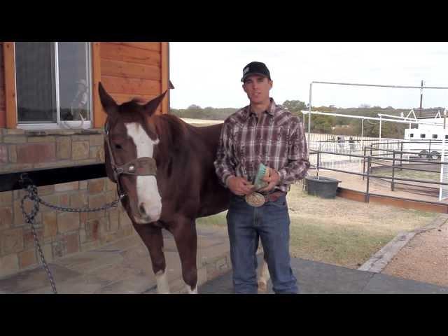 Patrick Smith's DRIVEN DVD - Saddling Preparation