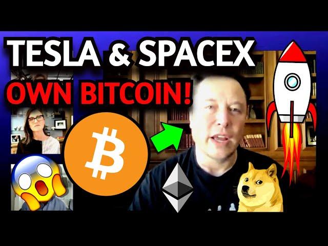 SpaceX & Tesla Own Bitcoin Says Elon Musk - Family Offices Buy Crypto - Bitcoin Miners Going Public