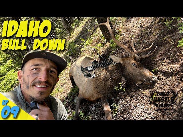 IDAHO ARCHERY BULL DOWN + Packout With Amazing People // PLH 3.09