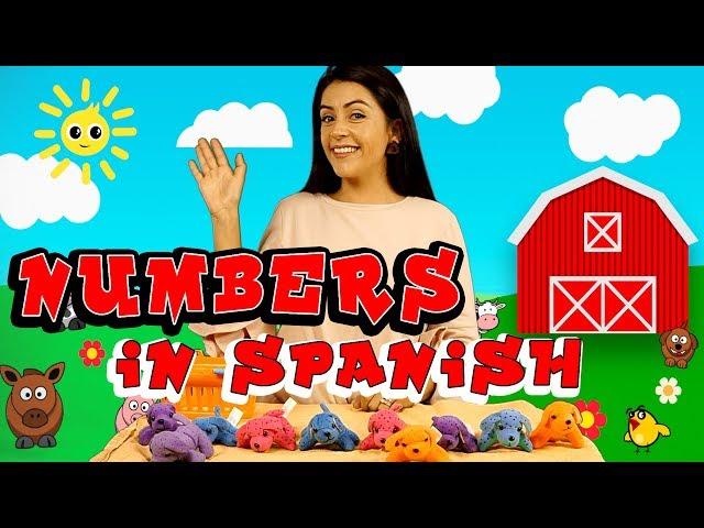 Numbers In Spanish | Language Learners