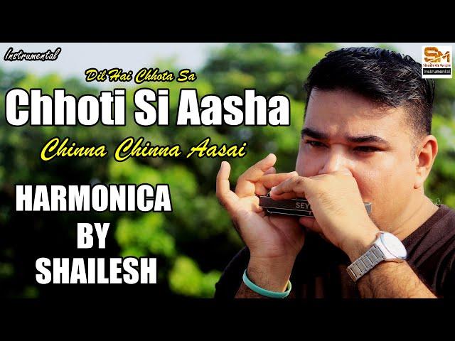 Chhoti Si Aasha Cover |  சின்னச் சின்ன ஆசை | Shailesh Mogre | Harmonica | Instrumental |