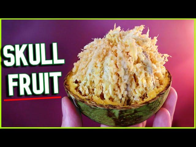 BAEL FRUIT - This Hard Shelled Fruit is Full Of Delicious Pulp! (+ Juice Recipe & Shell Crafts!)