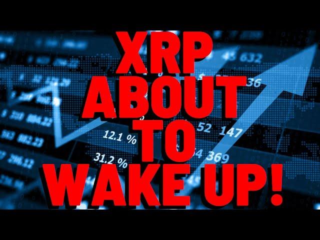 XRP ABOUT TO WAKE UP!