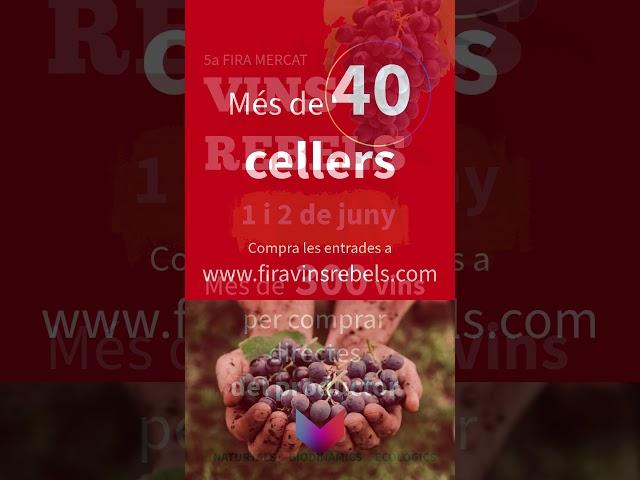  Fira de Vins Rebels 2024 