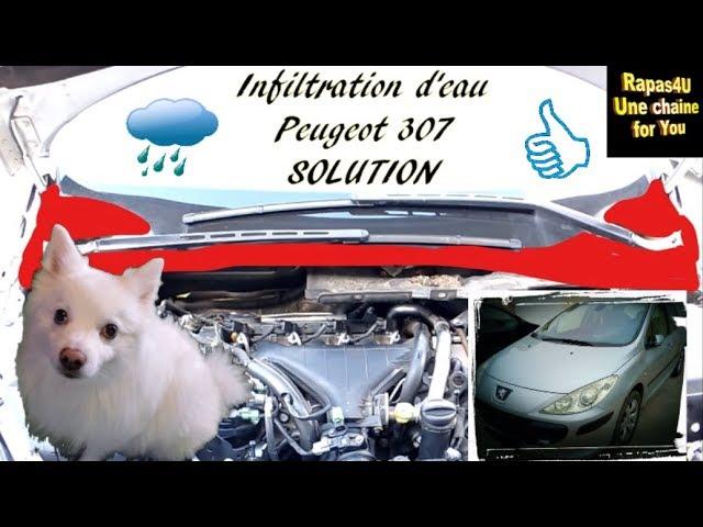 Infiltrations d'eau BAIE de PAREBRISE - Peugeot 307 - SOLUTION de SECOURS // Rapas4U