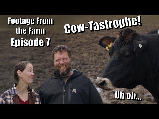 Footage From The Farm: Episode 7 - Can Charles Avoid Cow-Tastrophe!