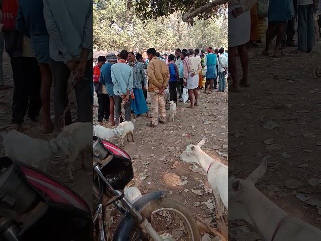 Ramgarh block Hatiya  video #viral #trending #sort