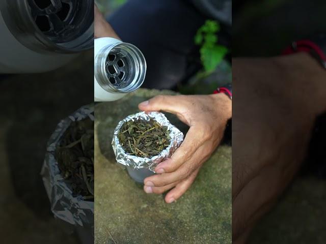 How to make tea in the forest with foil #funny #tea #video #shorts @VDSReality