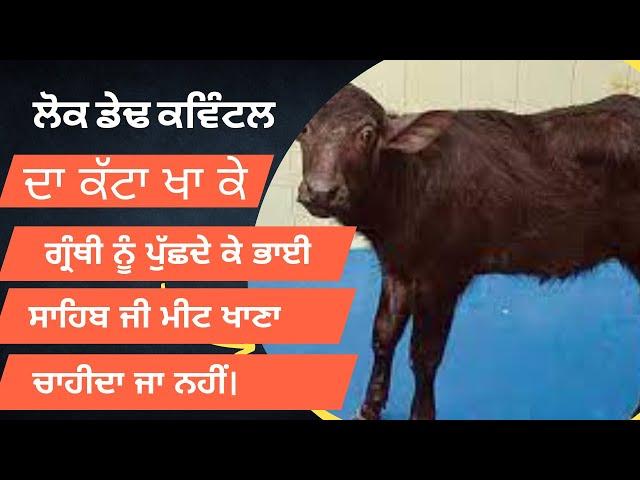 ਫਿਰ ਪੁੱਛਦੇ “ਮੀਟ ਖਾਣਾ ਚਾਹੀਦਾ ਕੇ ਨਹੀਂ” | Bhai Sarbjit Singh Dhunda | Concept of Meat in Sikhism