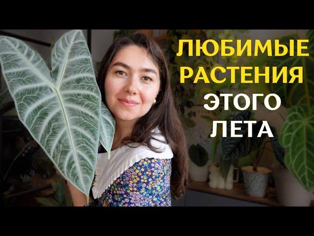 РАСТЕНИЯ, которые РАДУЮТ меня БОЛЬШЕ ВСЕГО  | ТОП-15 моих самых КРАСИВЫХ растений ЛЕТА 2024