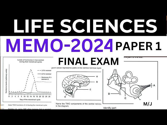 2024 MEMO FINAL EXAM LIFE SCIENCES SCIENCES P.1(PAPER 1) GRADE 12  M/J [THUNDEREDUC] BY M.SAIDI