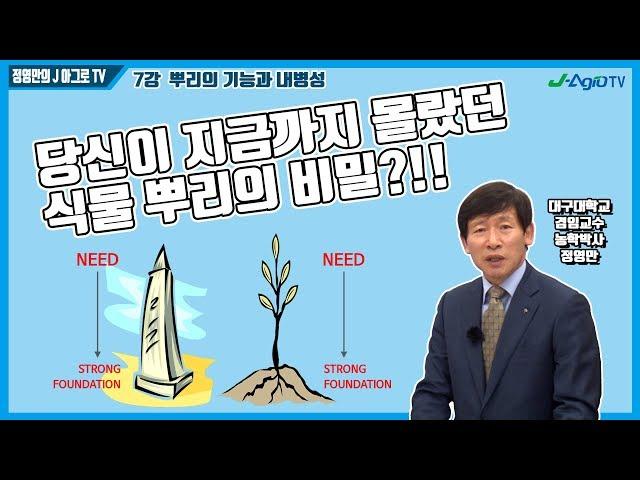 [정영만의 J 아그로TV] 당신이 몰랐던 식물 뿌리의 비밀! (7강 뿌리의 기능과 내병성)