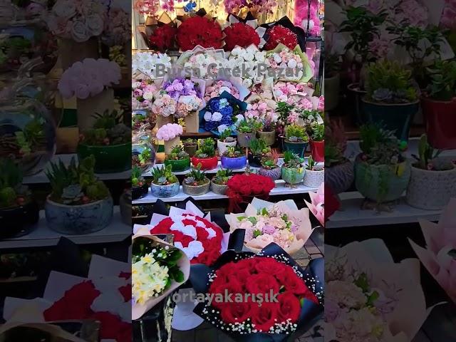 Bursa çiçek Pazarı - 20 Şubat 2024 - #turkey #flowers #keşfet #shortvideo