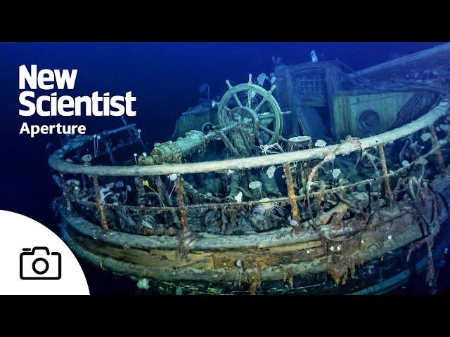Endurance wreck: Ernest Shackleton's lost ship found off Antarctica