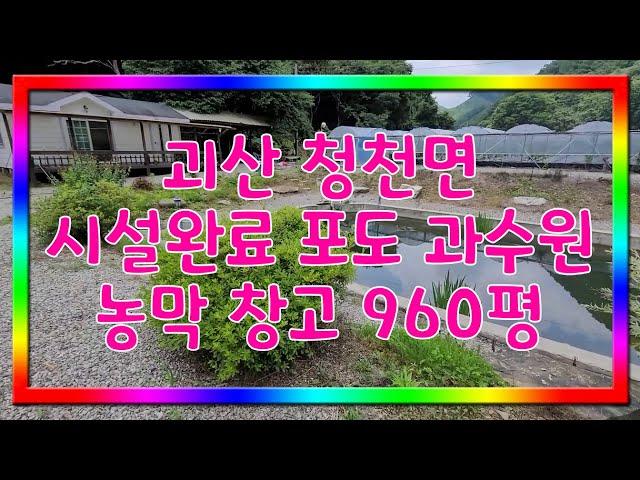 괴산 청천면 시설완료 비닐하우스 포도밭 960평 #주말쉼터 #괴산토지 #괴산임야 #괴산농가주택 #괴산농막 #괴산전원주택 #괴산지상권 #괴산부동산 #중개사언니