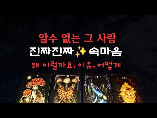 [타로속마음]️진짜 속마음️ 나에게ㅜ왜 이럴까요, 이유,어떻게