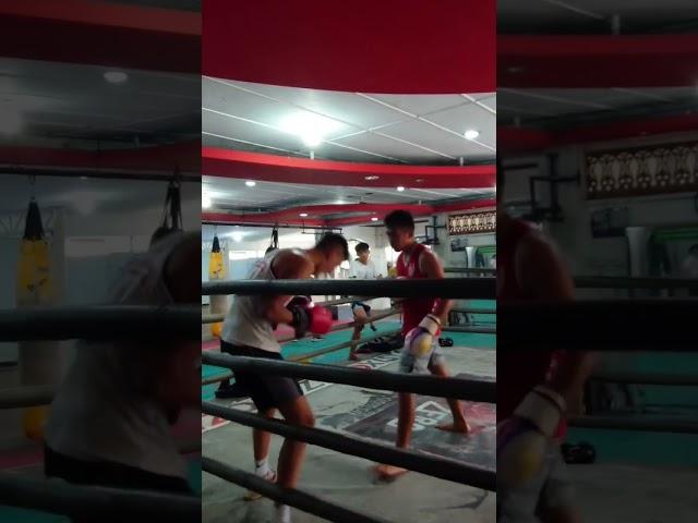 Liver Shots Combination in Boxing Sparring 